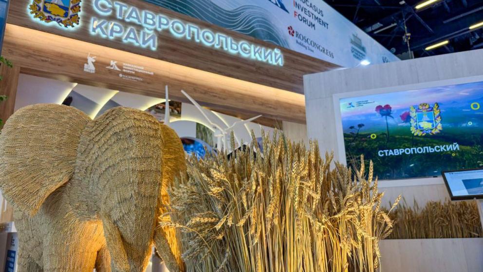 Эксперт о КИФ-2025: Ставрополье становится устойчивым деловым узлом на Юге страны