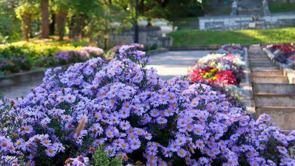 «Улитки» из цветов украсили въезды в Железноводск