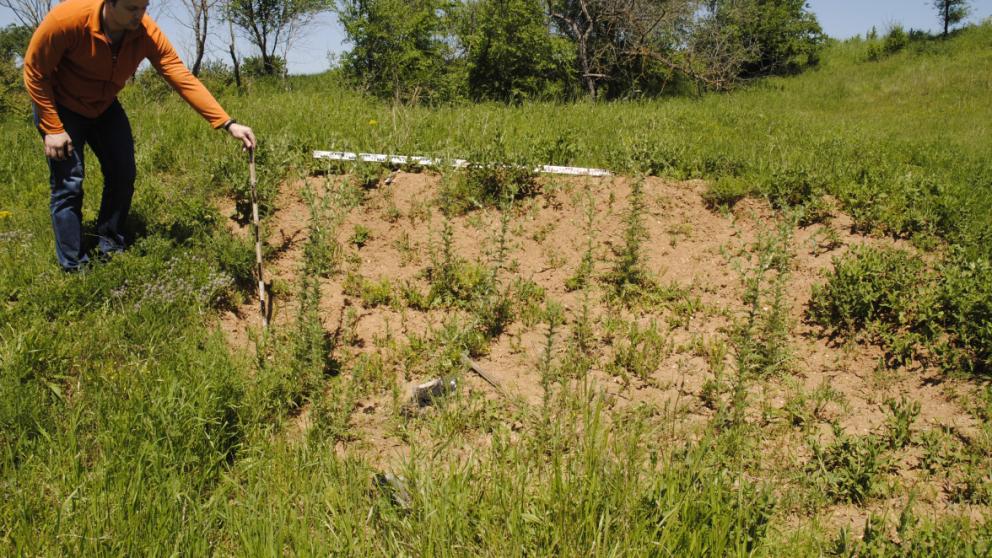 Сарматское захоронение II века до н.э. обнаружили на Ставрополье