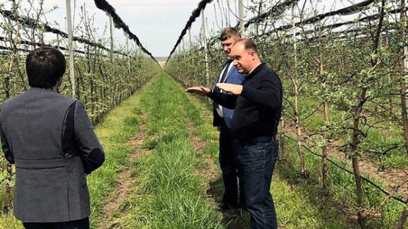 В Труновском районе строится крупное плодохранилище