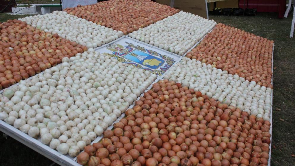 Объём инвестиций в АПК Ставрополья составил 12 миллиардов рублей