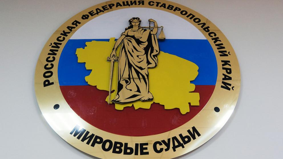 Избивавшая ребёнка няня в Минеральных Водах получила штраф