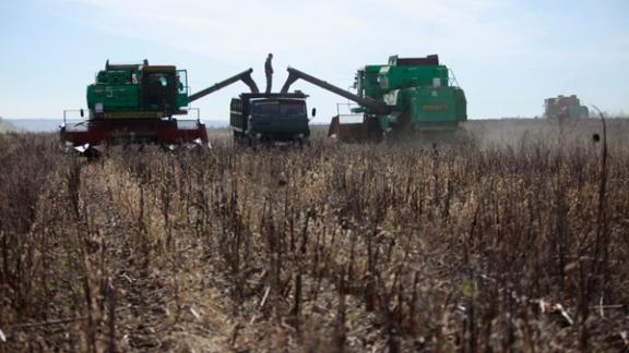 На Ставрополье началась уборка подсолнечника