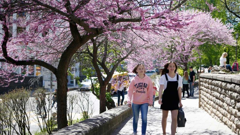 Владимир Владимиров предложил ставропольцам рассказать, что значит для них весна