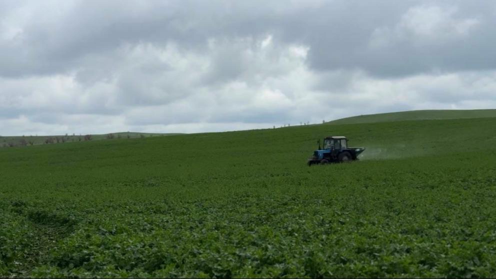 Аграрии Ставрополья завершили первую азотную подкормку озимых