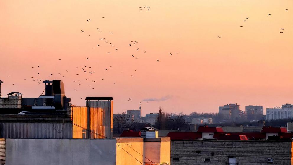 Выбран подрядчик для капремонта 21 многоэтажки в Ставрополе