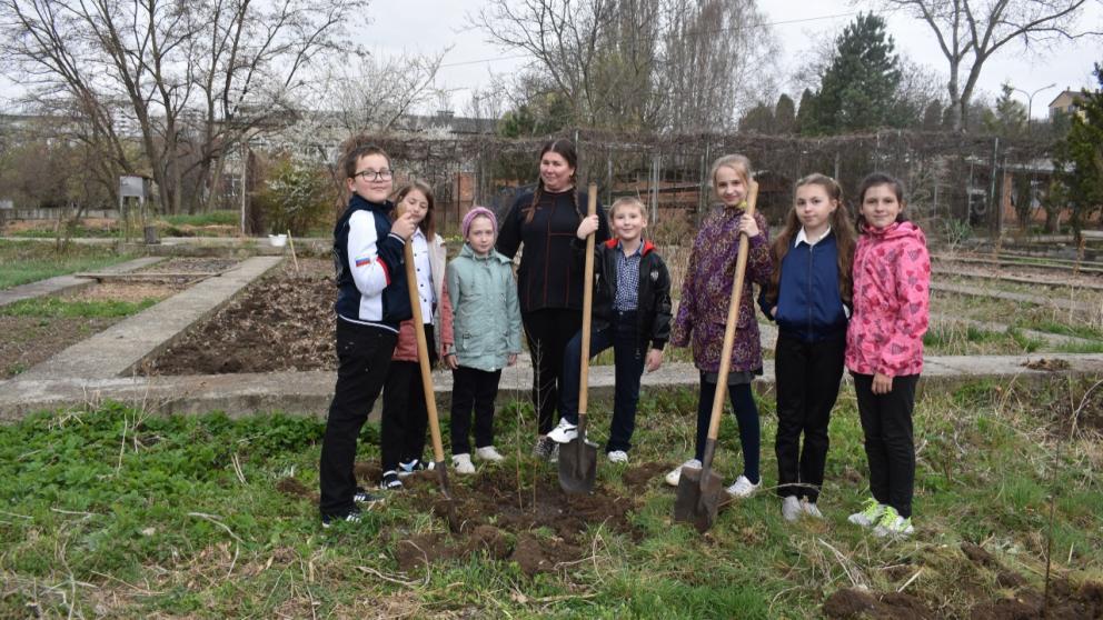В Кисловодске юные натуралисты высадили гранатовые деревья
