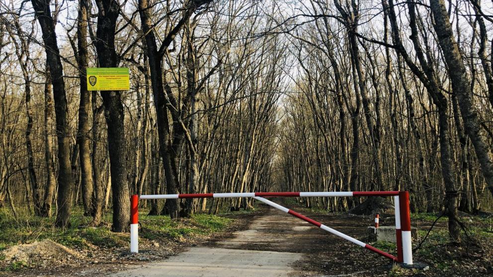 На въездах в лес Железноводска появились новые шлагбаумы