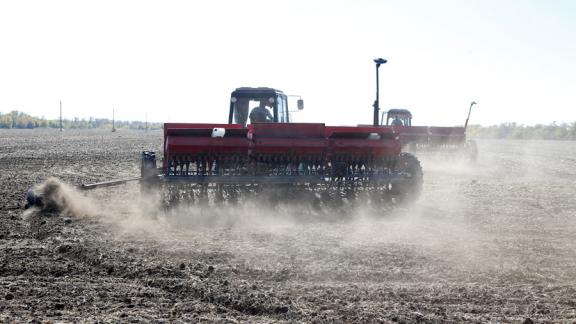 На Ставрополье озимыми засеяно 5,6 процента от плана