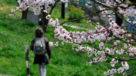 Выходные на Ставрополье обещают быть тёплыми и солнечными