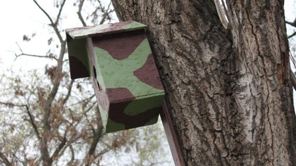 На терренкурах в Железноводске повесят скворечники