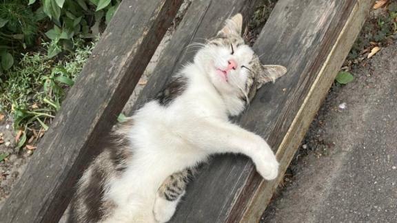 На Ставрополье продлили режим чрезвычайной пожароопасности