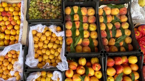 За 5 месяцев на ярмарках в Ставрополе продали 160 тонн продукции