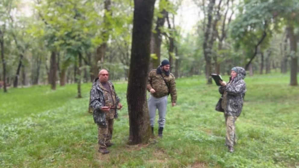 В Ессентуках создадут паспорт деревьев Лечебного парка