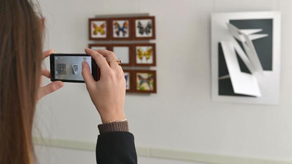 Выставка современного искусства – инсталляция открыта в Ставрополе