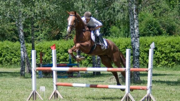 Первенство Ставрополя по конкуру посвятили Дню России