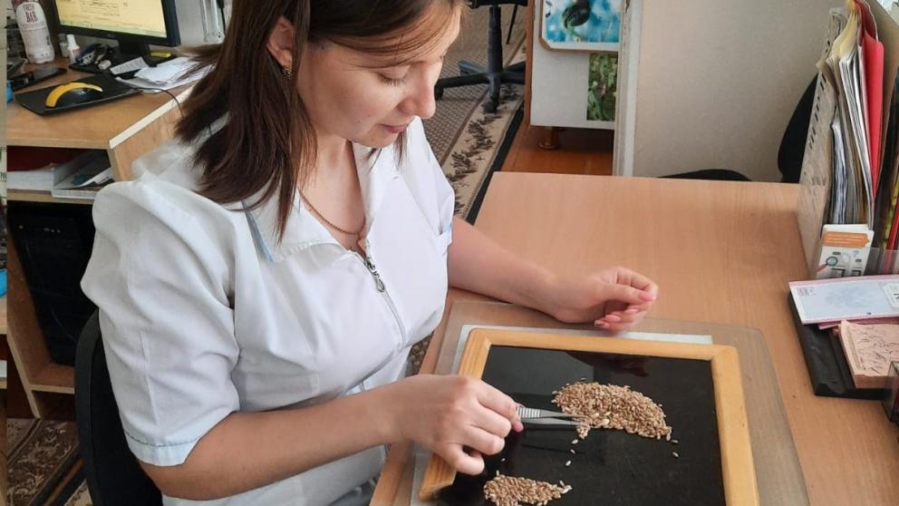 Аграрии Ставрополья начали подготовку к осенним полевым работам