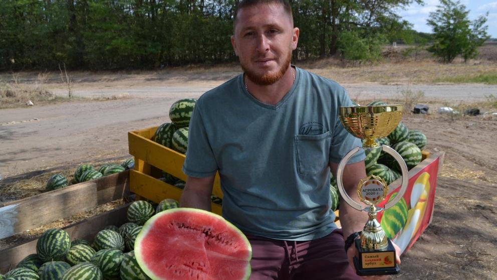 На Ставрополье выбрали арбуз года