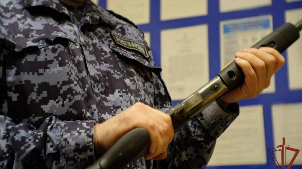 Более 700 единиц гражданского оружия от жителей СКФО передала Росгвардия для СВО