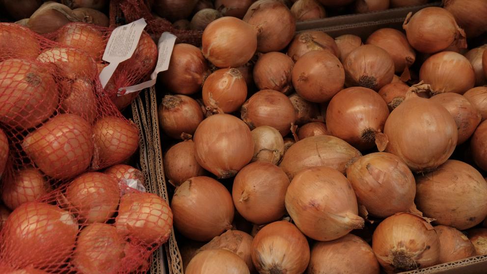 Ставропольцам раскрыли секреты хранения лука зимой