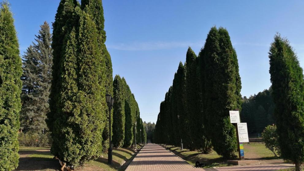 Ставропольский край стал лидером санаторного туризма России