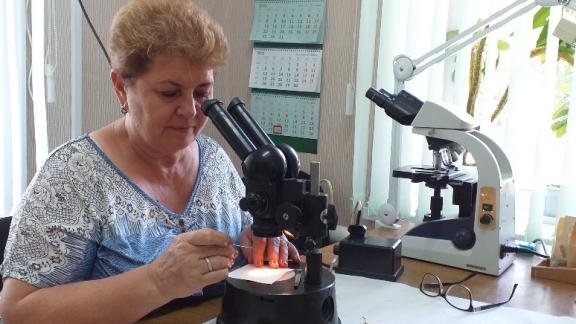 В Ипатовском округе Ставрополья специалисты определят качество зерна урожая 2021 года