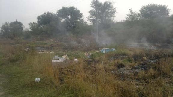 Как благодарненцам избавиться от мусорного дыма?