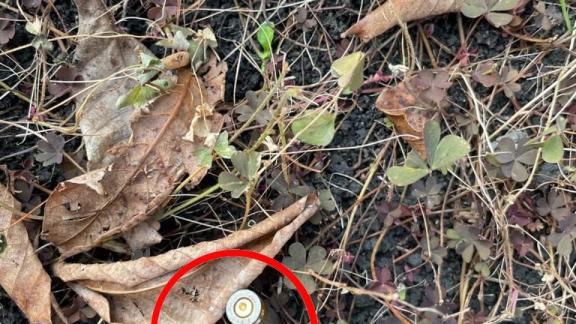 Хулиган стрелял в воздух из ружья и пистолета на улице в Пятигорске