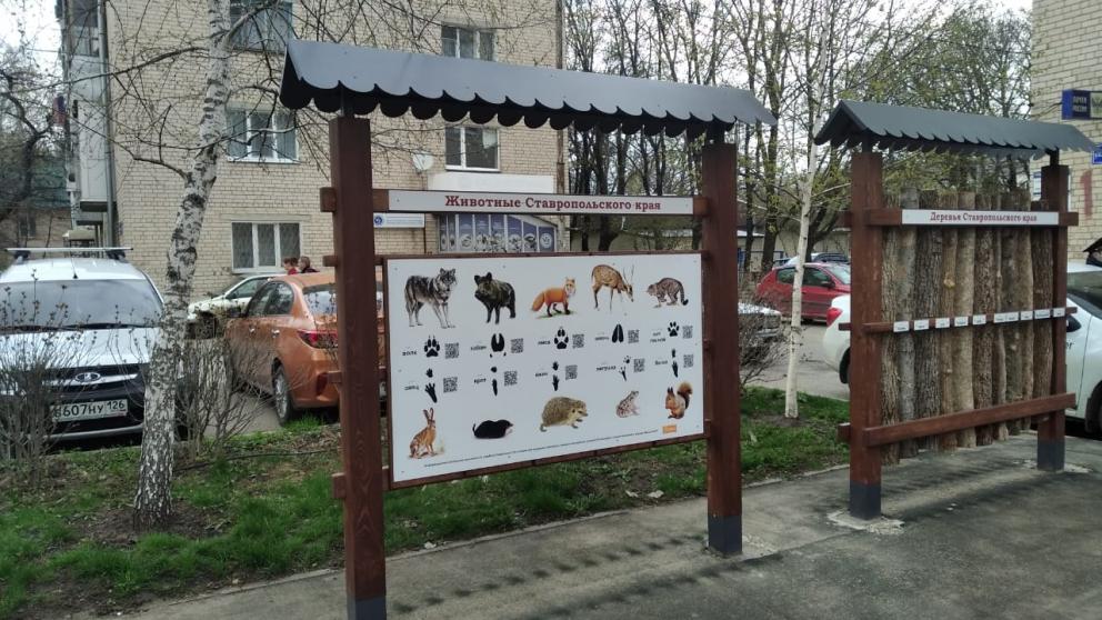 В Ставрополе функционирует эколого-тактильное пространство для слепых и слабовидящих