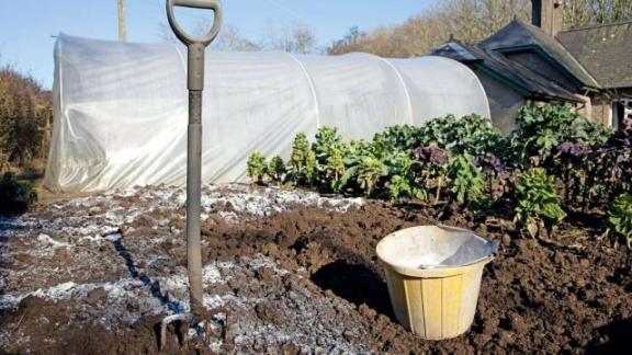 На Ставрополье назвали девять важных дел для дачников в ноябре