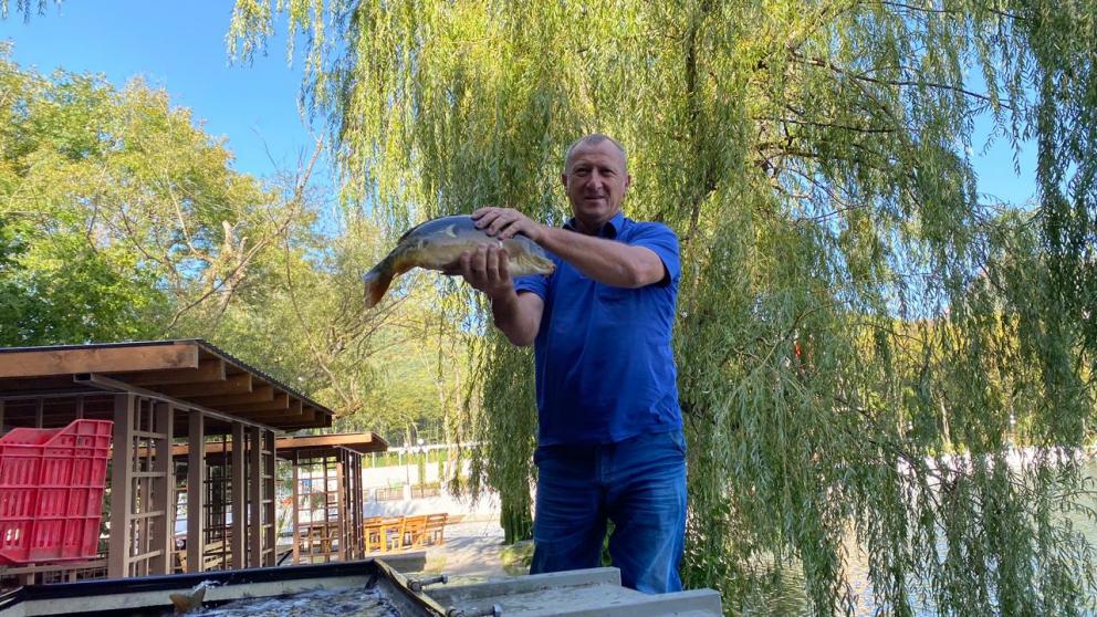 В озеро Железноводска выпустили более 5 тонн промысловой рыбы