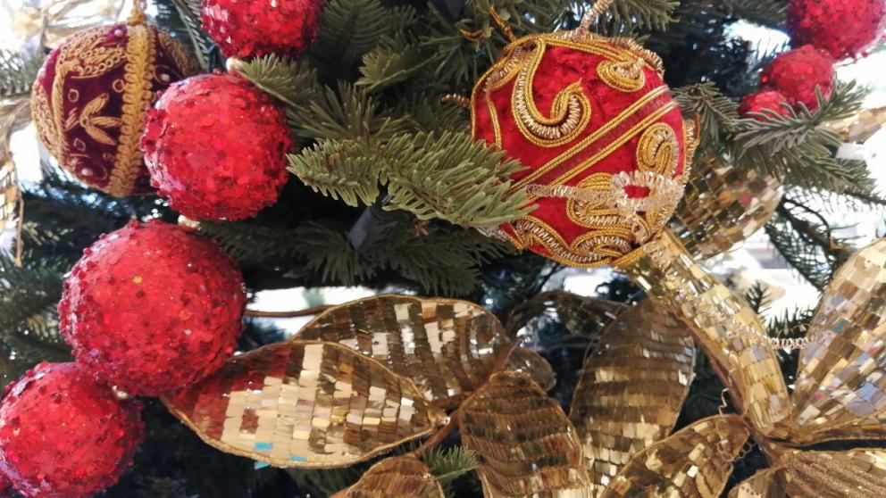 Президент России исполнил мечту школьницы из Ставропольского края