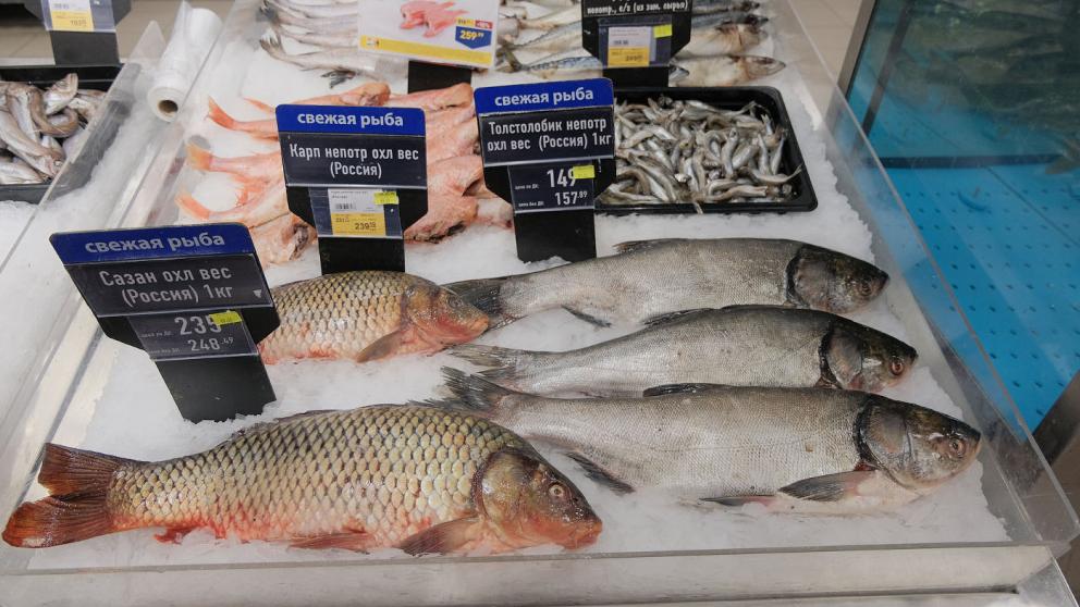 На Ставрополье в пять раз увеличился экспорт рыбы