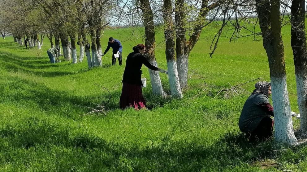 В Благодарненском округе Ставрополья прошёл субботник