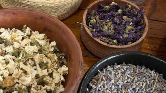 В Ставрополе прошла первая экскурсия в баню № 1