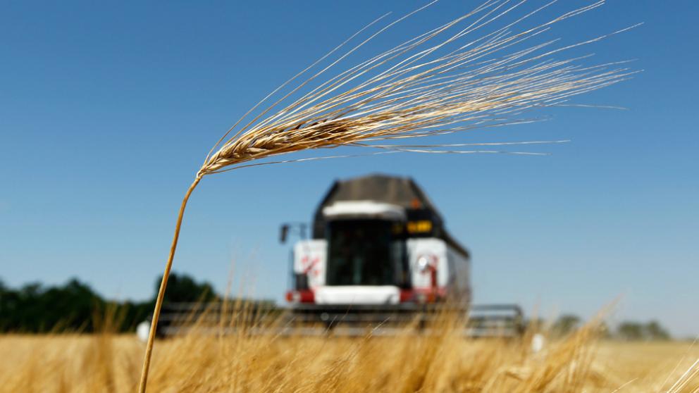АПК Ставрополья участвуют в программе обновления агропарка ЮФО и СКФО