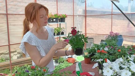 Соцконтракт помог жительнице Ипатовского округа Ставрополья открыть бизнес