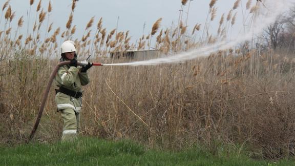 В Ставрополе создадут дружины для борьбы с ландшафтными пожарами