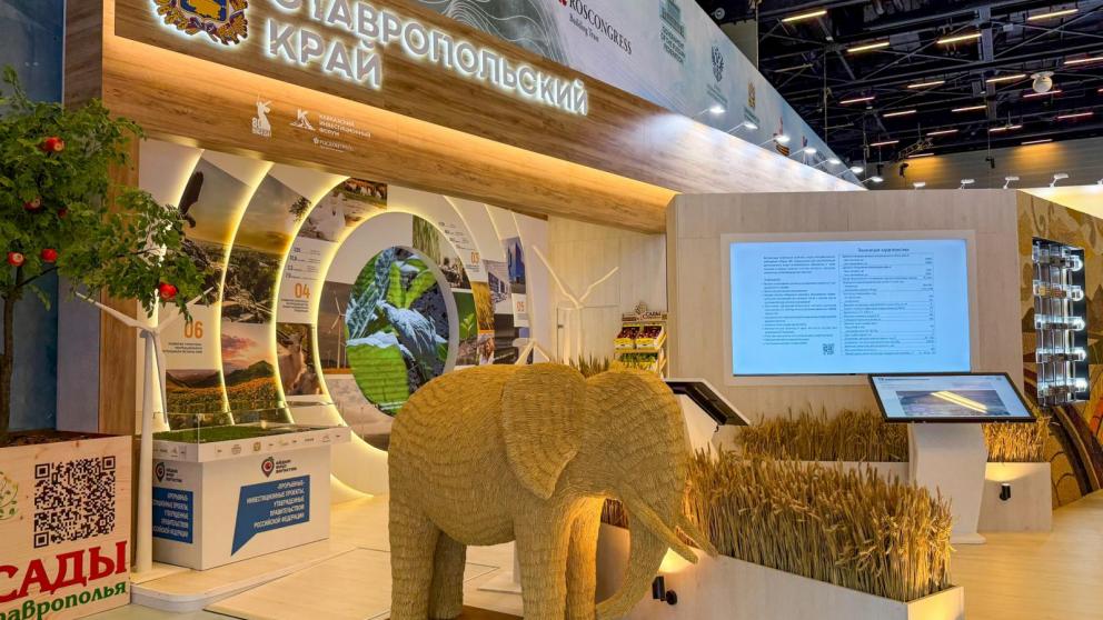 Вице-премьер РФ Александр Новак на КИФ-2025: Северный Кавказ – регион с огромным потенциалом развития