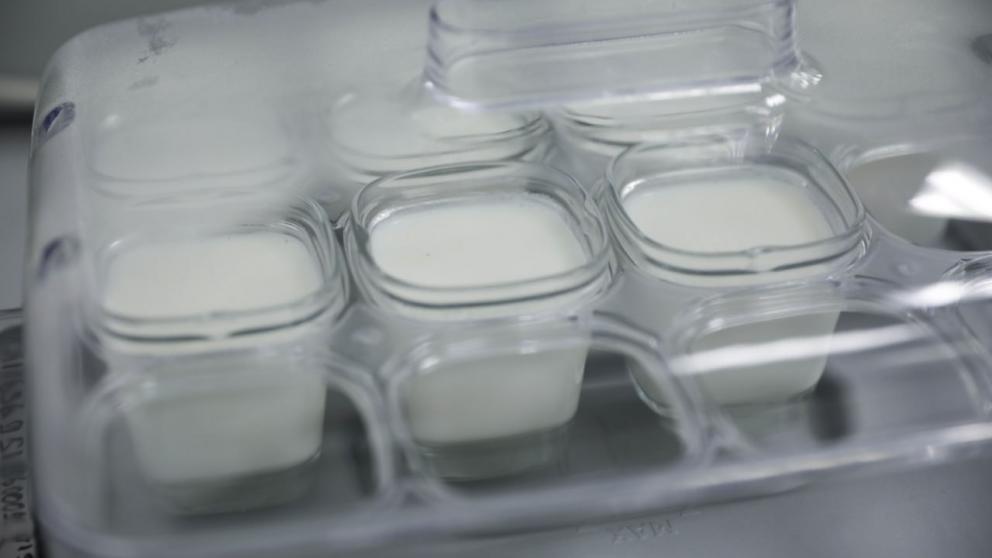 Учёные СКФУ работают над инновационным кисломолочным продуктом