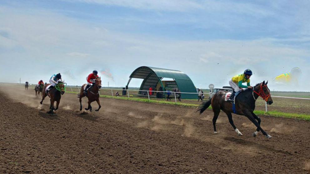 В Новоселицком округе Ставрополья прошёл конноспортивный турнир