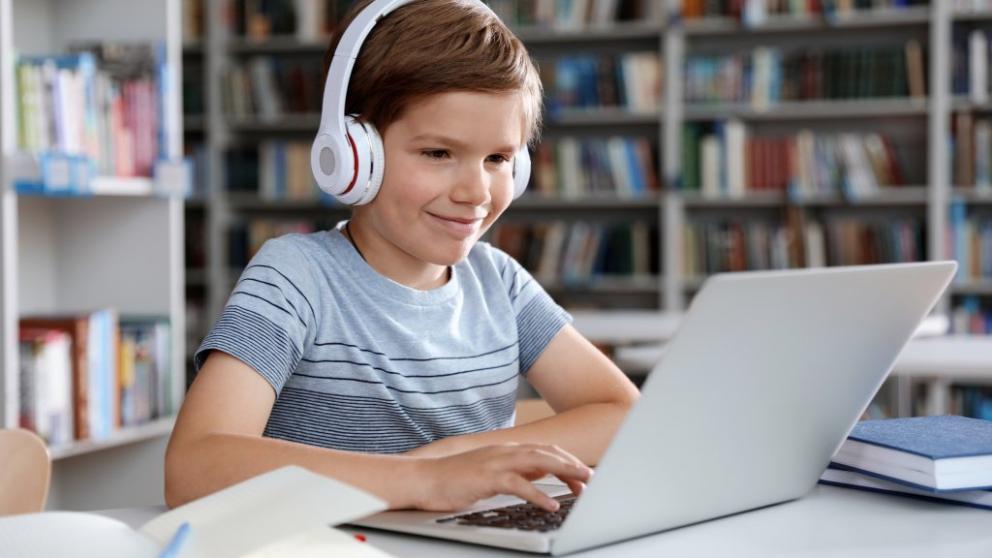 Школьники Ставрополья могут проверить свои знания по экологии в онлайн-олимпиаде