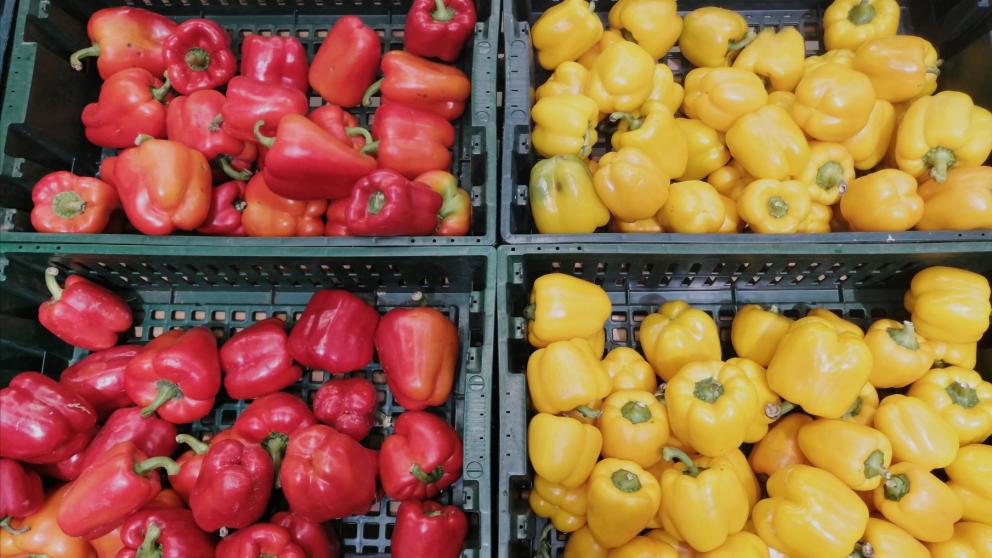 В Ессентуках 5 марта пройдёт ярмарка выходного дня