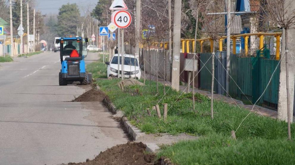 Масштабный экологический проект реализуют в Кочубеевском округе