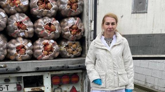 Центр оценки качества и безопасности продукции АПК проверил картофель, поступивший на Ставрополье из Грузии