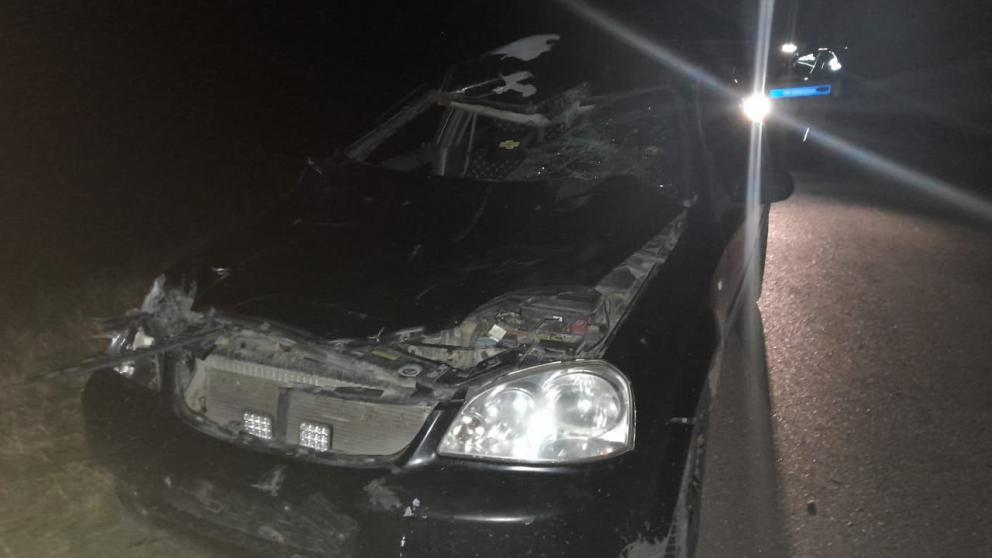 В Нефтекумском округе водитель сбил выбежавшую на дорогу корову