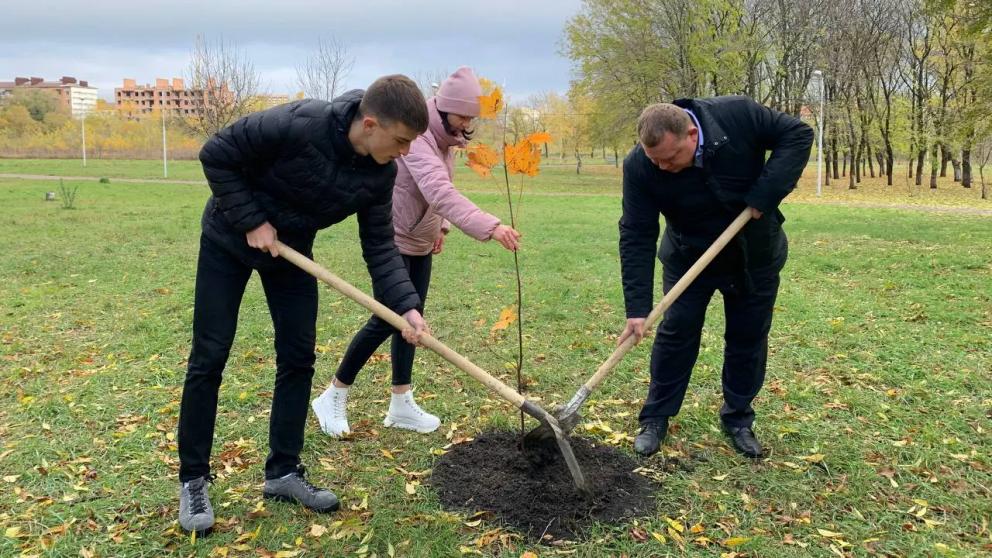 В станичном парке Предгорного округа создадут Аллею Славы
