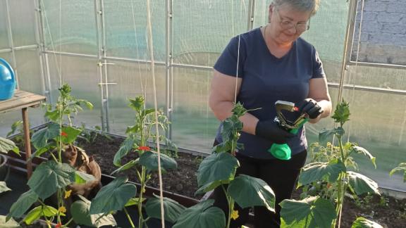 В Изобильненском округе Ставрополья планируют заключить 165 соцконтрактов