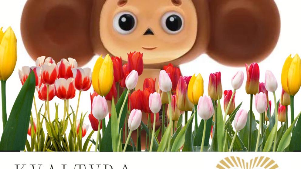 Более тысячи тюльпанов подарят Чебурашка и Гена жительницам Кисловодска