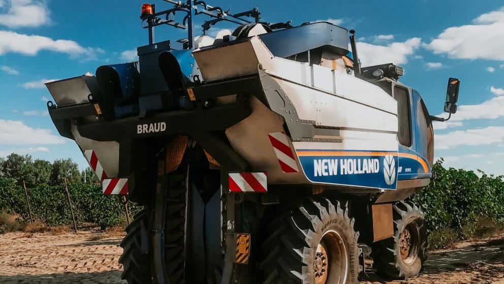 Виноградари на Ставрополье переходят на механизированный сбор урожая